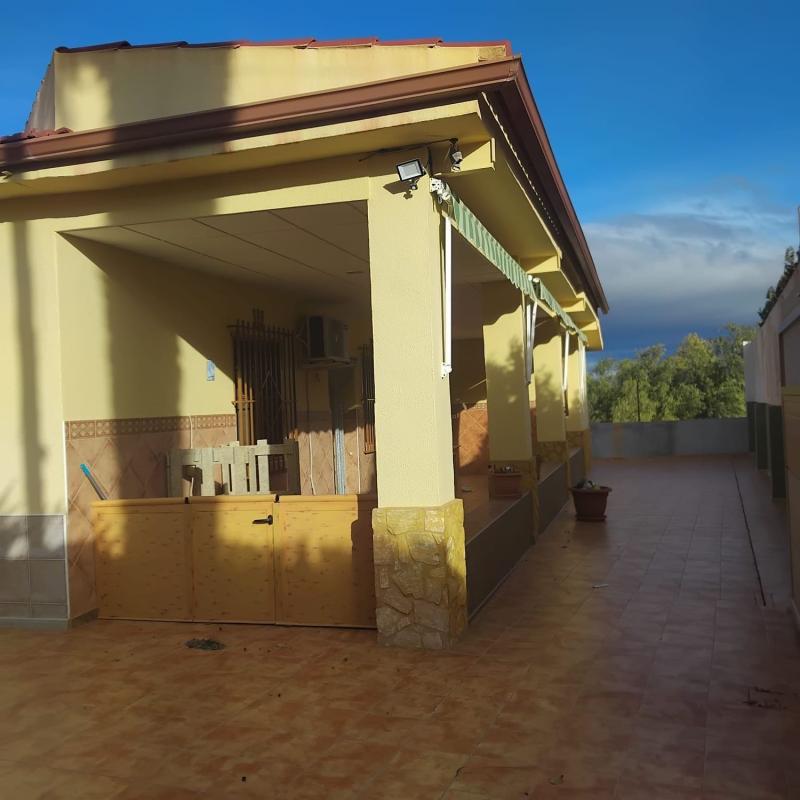 Продажа загородного участка в Finca rústica en Prosperidad - La Cruz, Aspe , Аспе photo 4