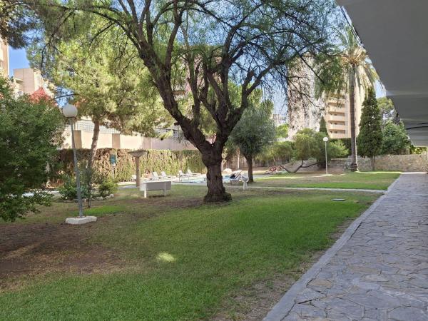 Sprzedaż mieszkania w Piso en Avenida de Cataluña, Playa de San Juan, Alicante / Alacant, Alicante / Alacant
 photo 1