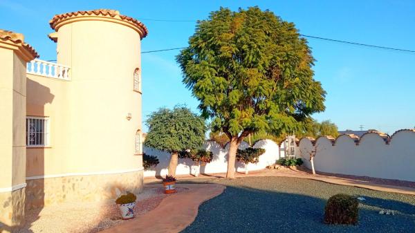 Casa o chalet independiente en Catral thumbnail 3