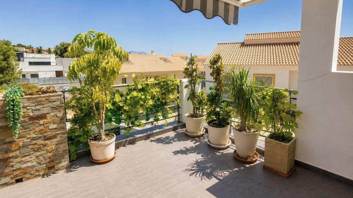 Properties for sale and rent in Spain photo 5