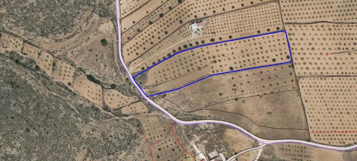 Land for sale in Pinoso, Alicante photo 5