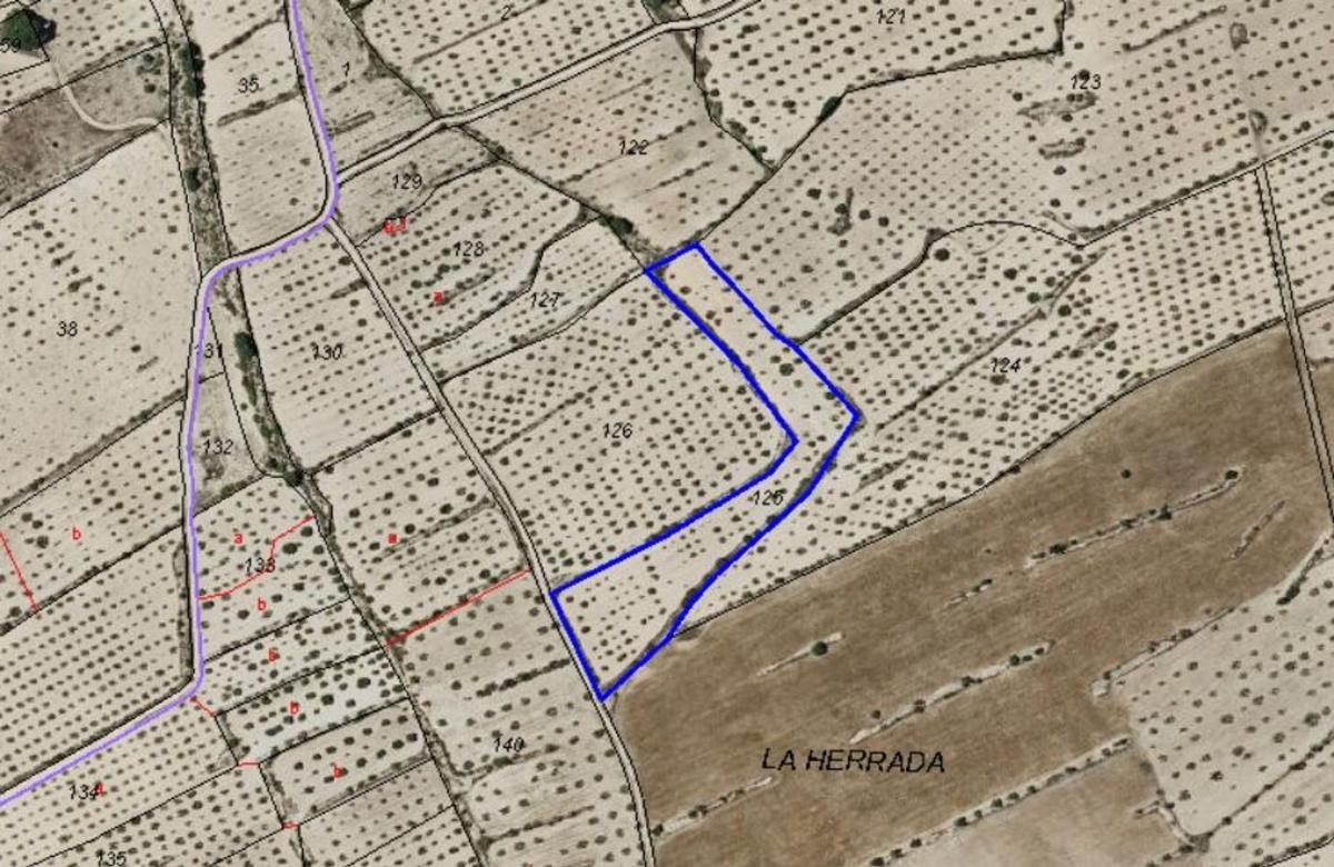 Land for sale in Pinoso, Alicante photo 5