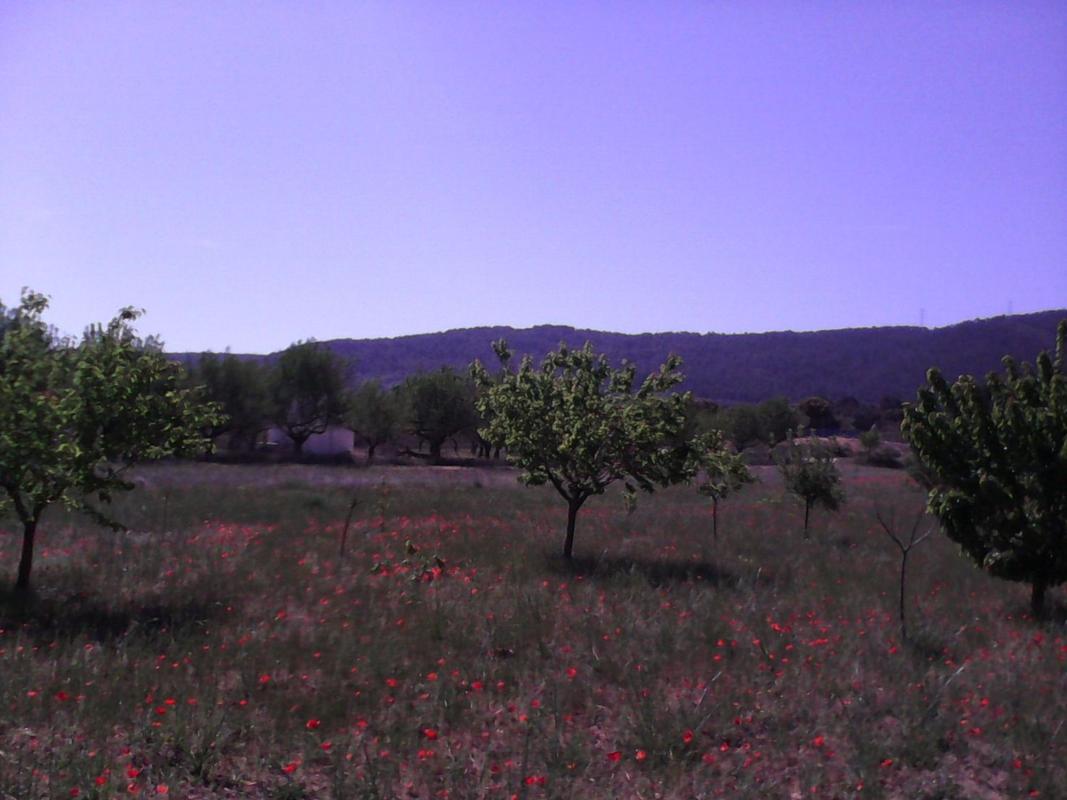 Terreno en venta en Banyeres de Mariola, Alicante photo 3