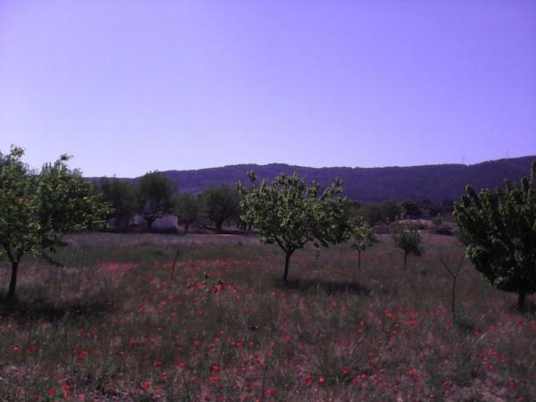 Terreno en Paratge Partida el Bovar, 897, Banyeres de Mariola photo 3