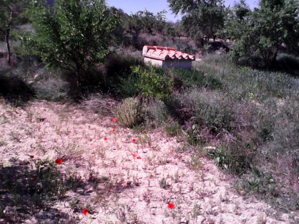 Terreno en Paratge Partida el Bovar, 897, Banyeres de Mariola photo 4
