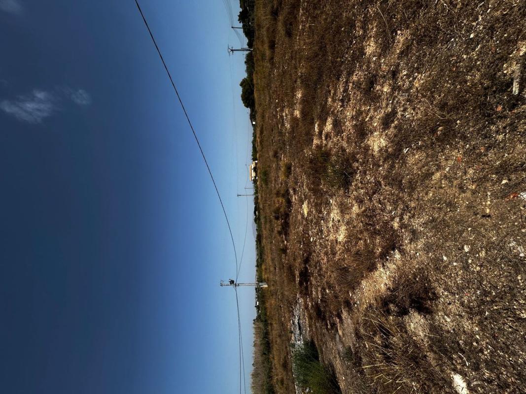 Działka na sprzedaż w Elche / Elx, Alicante photo 5