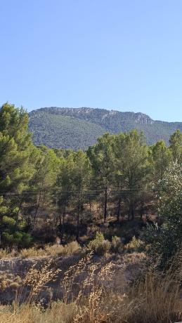 Finca rústica en venta en Finca rústica en Pinares Del Mecli Izqda, 18, Tibi , Tibi thumbnail 2