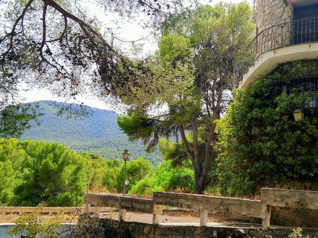 Propiedades en venta y alquiler en España photo 3