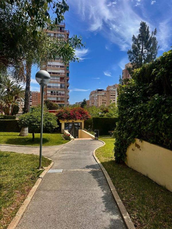 Sprzedaż mieszkania w Piso en Calle Zeus, La Albufereta, Alicante / Alacant, Alicante / Alacant
photo 5