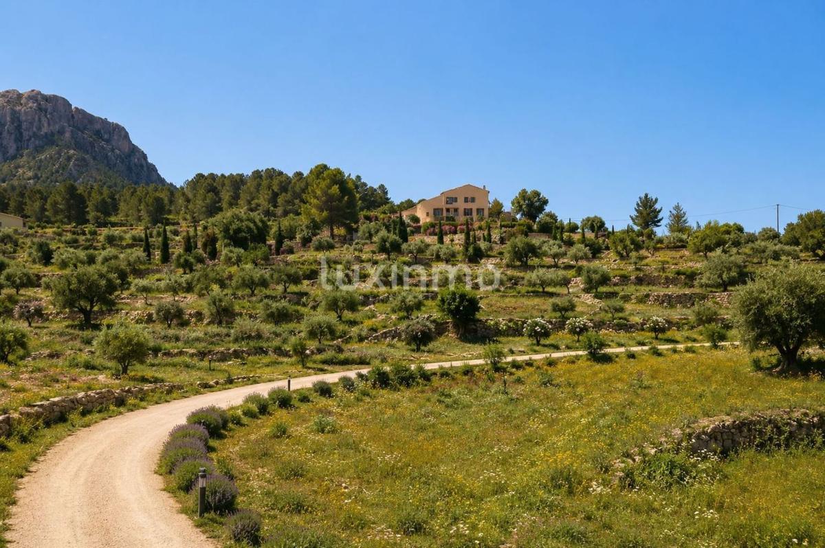 Properties for sale and rent in Spain photo 5