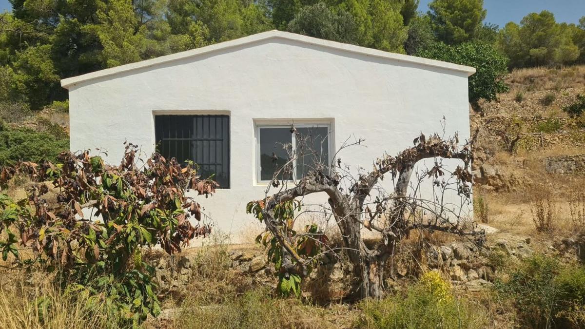 Propiedades en venta y alquiler en España photo 1