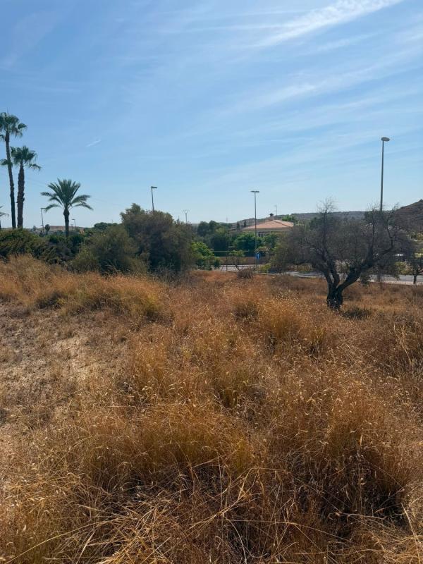 Terreno en venta en San Vicente del Raspeig, Alicante photo 2