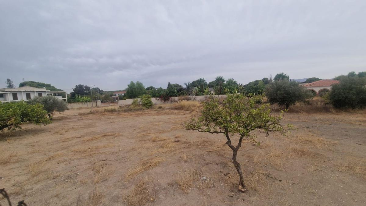 Land for sale in Alicante, Alicante photo 5