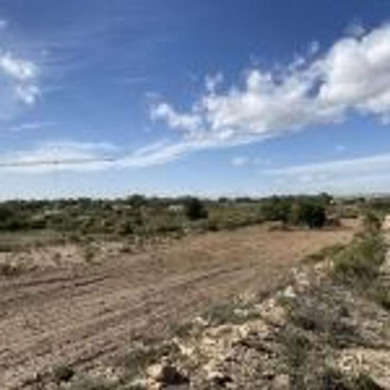 Terreno en venta en Elche / Elx, Alicante photo 4