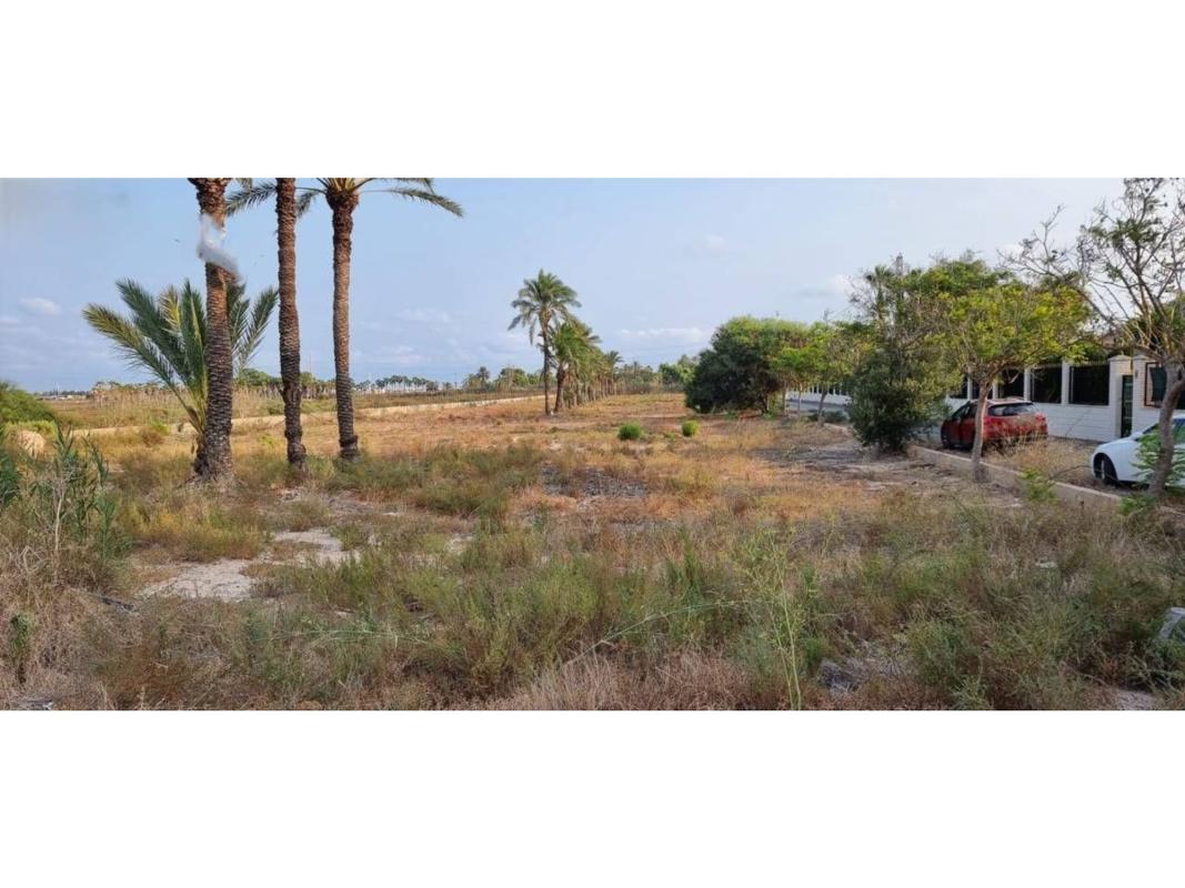 Terreno en venta en Elche / Elx, Alicante photo 2