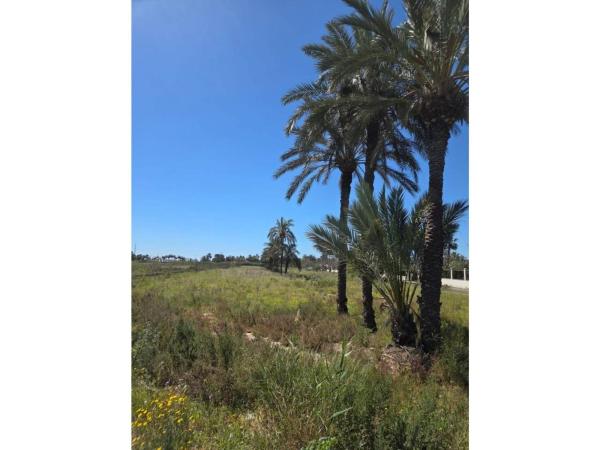 Terreno en Entrada Rio Safari Elche, 3, Valverde, Elche / Elx photo 3
