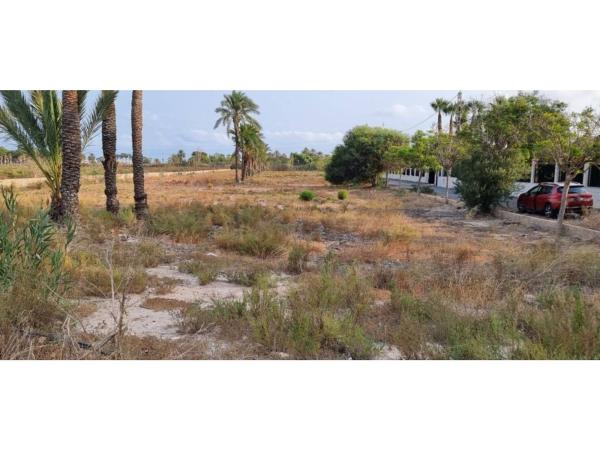 Terreno en Entrada Rio Safari Elche, 3, Valverde, Elche / Elx photo 4