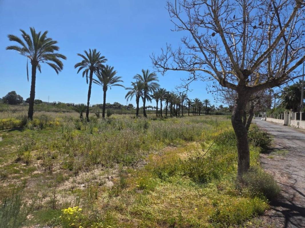 Terreno en venta en Elche / Elx, Alicante photo 5
