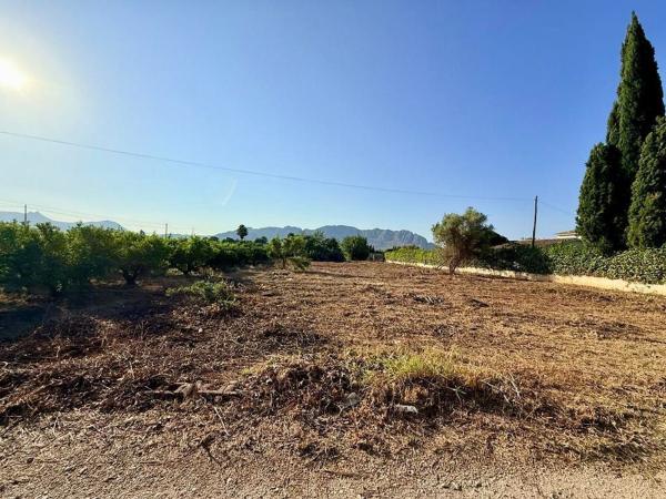 Terreno en Camino del Mig, 64 /5, Centro, Pedreguer photo 4