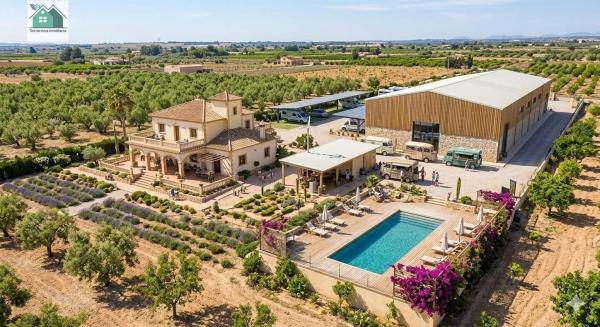Terreno en Villafranqueza, Alicante / Alacant photo 1