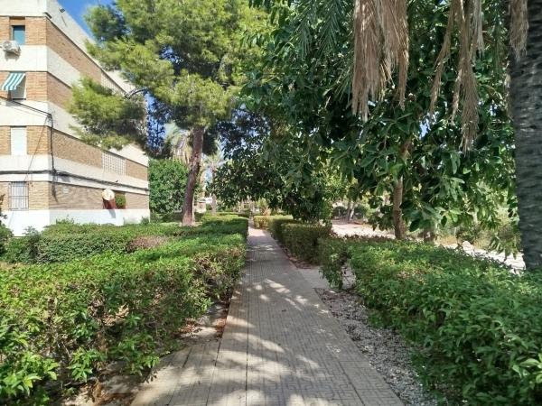 Venta de piso en Piso en Pintor Antonio Amoros, Ciudad Elegida, Alicante / Alacant, Alicante / Alacant
thumbnail 2