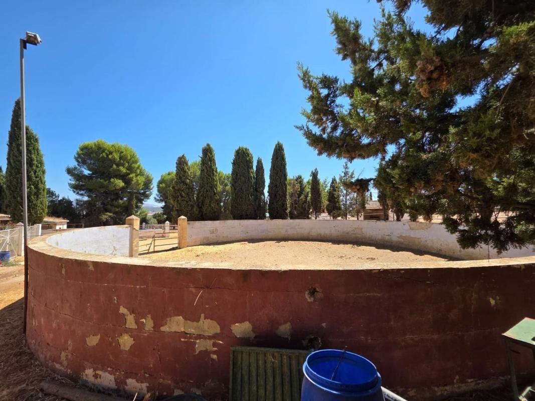 Venta de finca rústica en  Finca rústica en Diseminado Poligono 230, Bobadilla - Bobadilla Estación, Antequera , Antequera photo 3