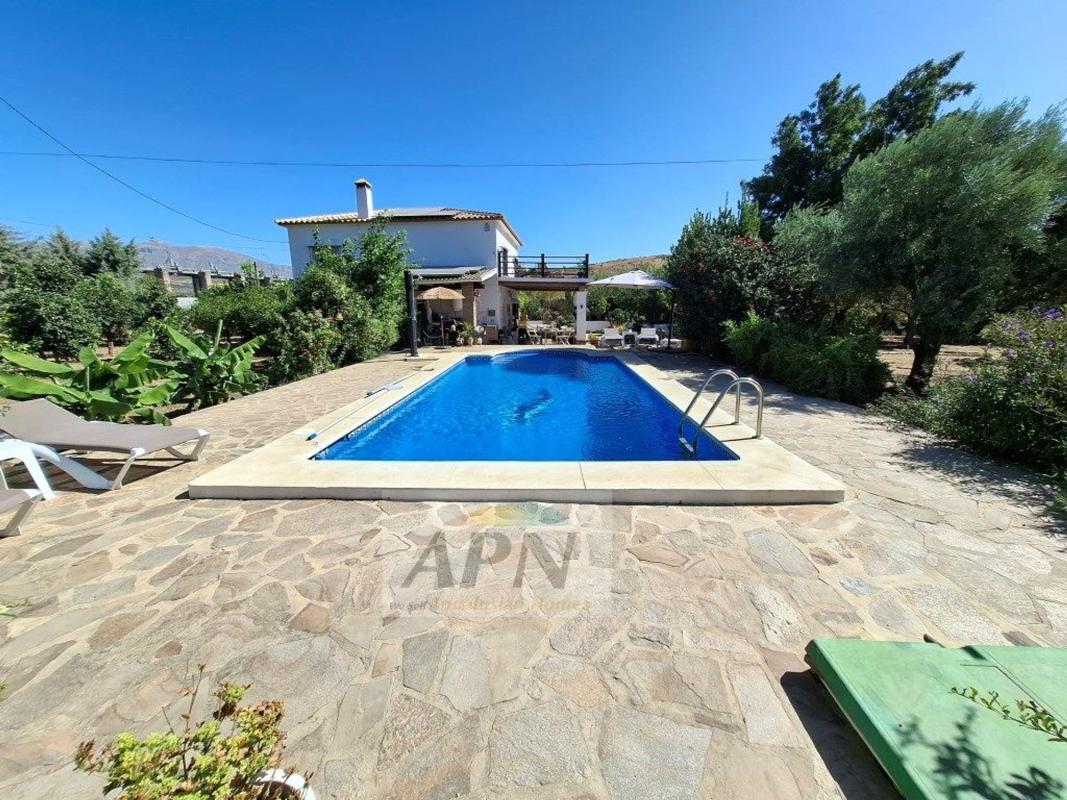 Propiedades en venta y alquiler en España photo 2