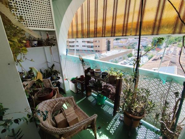 Venta de piso en Piso en Calle Pedro Antonio Beuter, El Tejar - Hacienda Bizcochero, Málaga, Málaga
photo 1