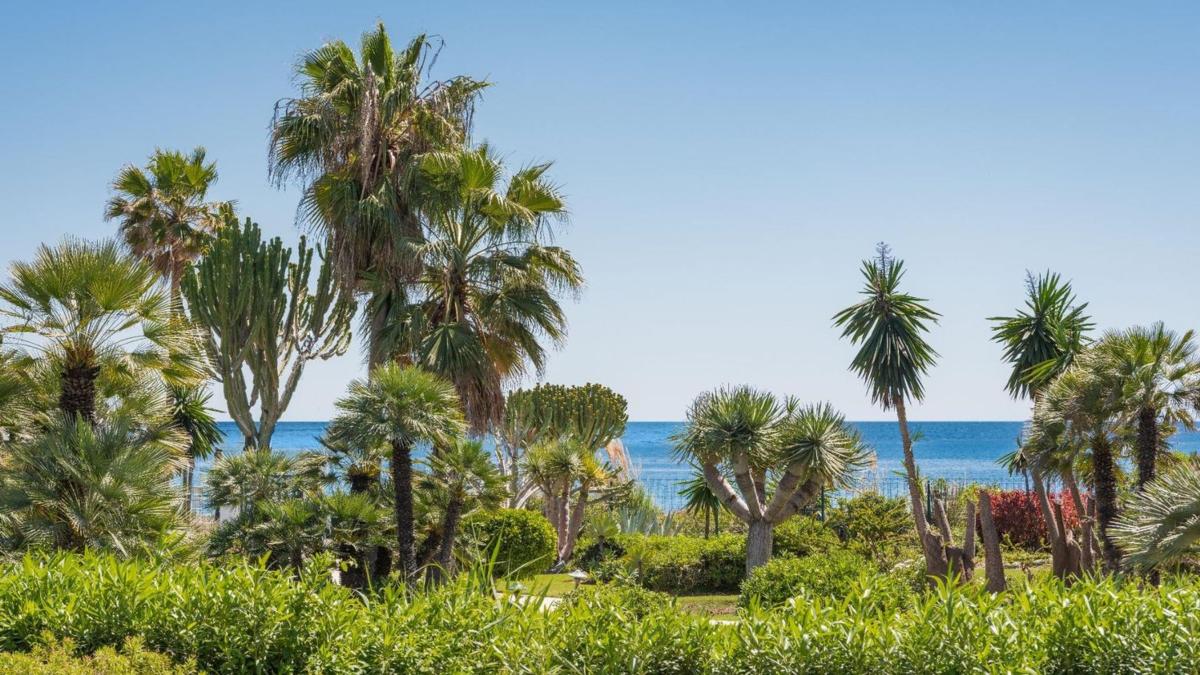 Venta de piso en Piso en Calle Séneca, Villacana - Costalita - Saladillo, Estepona, Estepona
photo 1