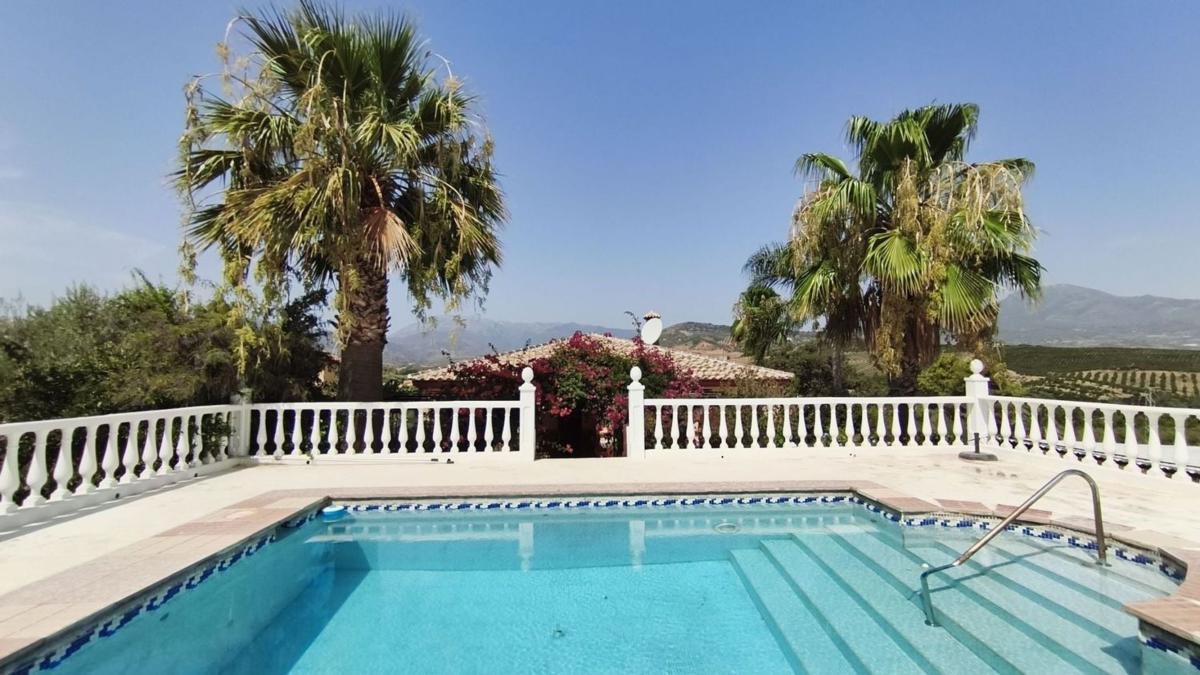 Properties for sale and rent in Spain photo 1