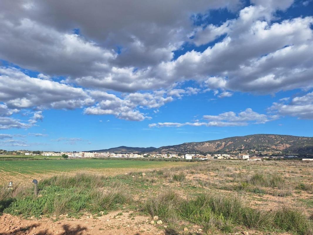 Terreno en venta en Pinoso, Alicante photo 5