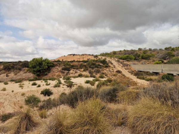 Terreno en Peña de Las Águilas, Elche / Elx thumbnail 1
