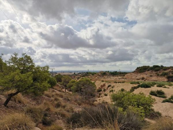 Terreno en Peña de Las Águilas, Elche / Elx photo 4