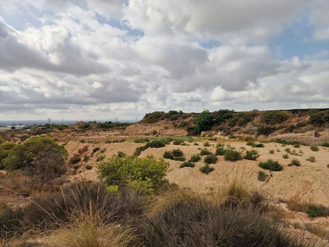 Terreno en venta en Elche / Elx, Alicante photo 5