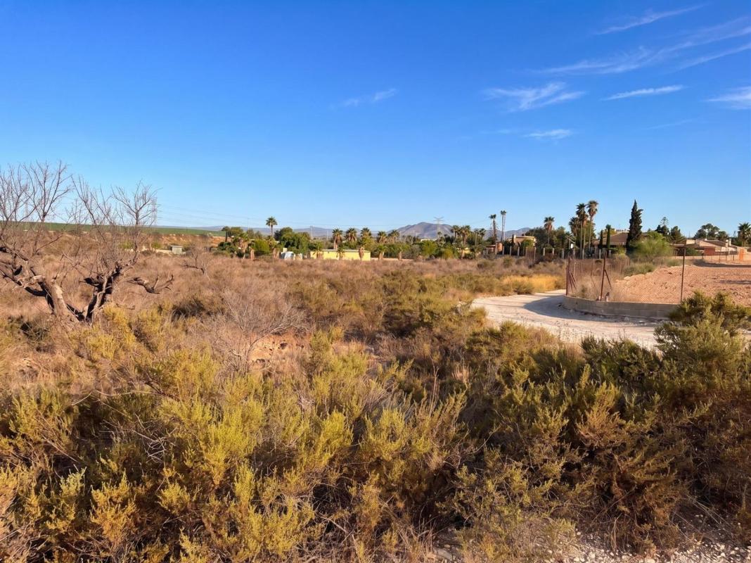 Terreno en venta en Elche / Elx, Alicante photo 2