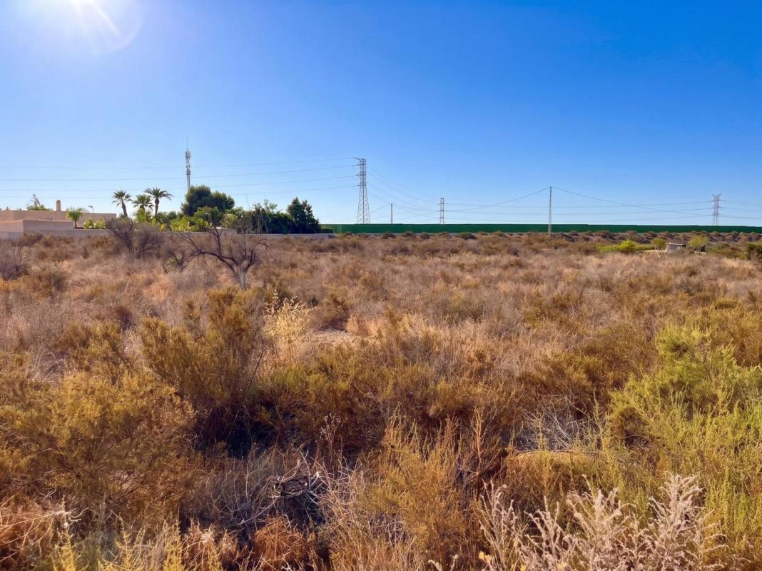 Terreno en venta en Elche / Elx, Alicante photo 5