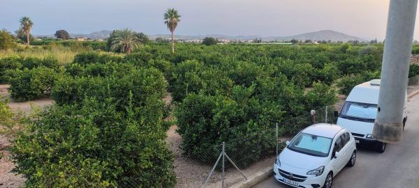 Terreno en Camino de Almoradi, 191, Molins-Campaneta-San Bartolomé, Orihuela photo 1