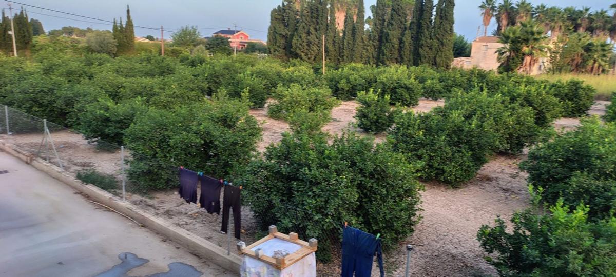 Terreno en venta en Orihuela, Alicante photo 5