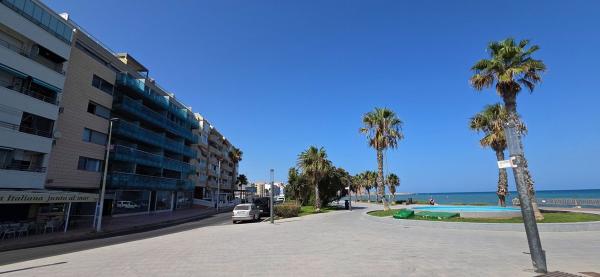 Local en Avenida de la Purisima, 53, Playa del Cura, Torrevieja thumbnail 1