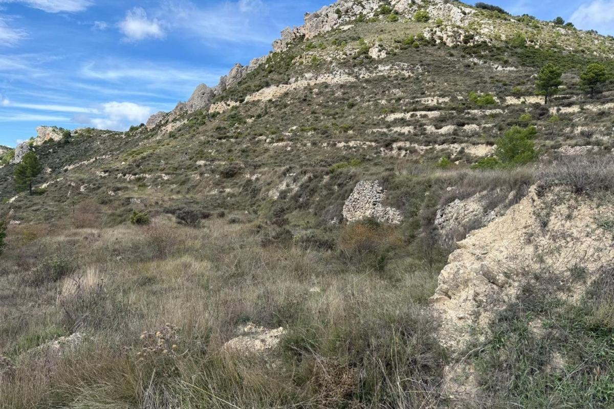 Działka na sprzedaż w Confrides, Alicante photo 5