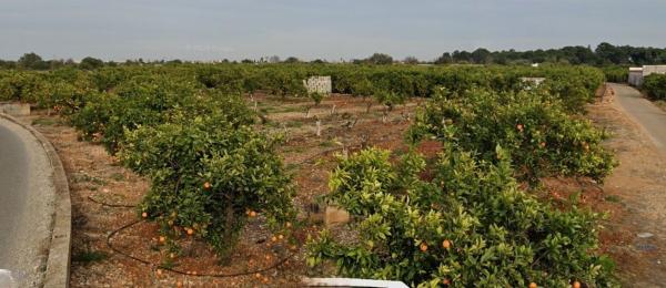 Terreno en La Xara - La Sella - Jesús Pobre, Denia photo 1