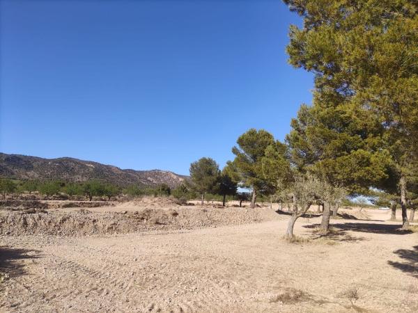 Terreno en Unnamed Road s/n, Pinoso photo 1