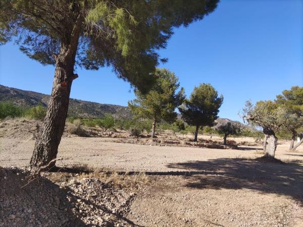 Terreno en Unnamed Road s/n, Pinoso photo 4
