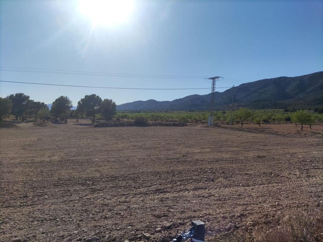 Terreno en venta en Pinoso, Alicante photo 5