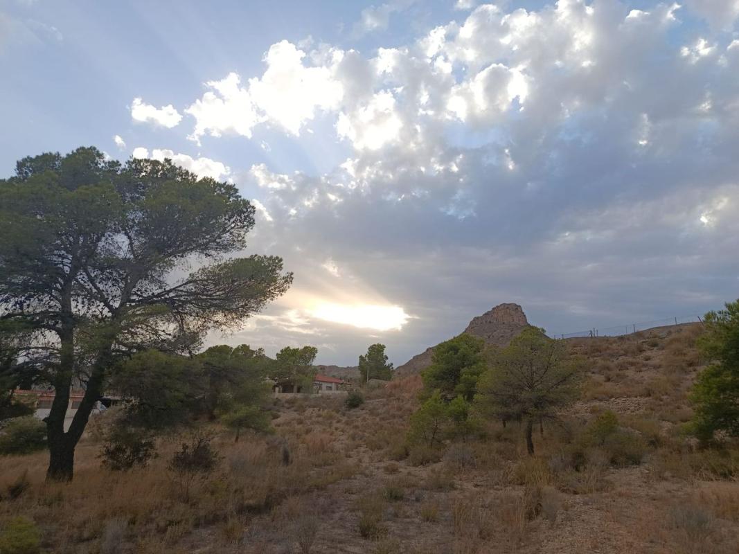 Terreno en venta en Agost, Alicante photo 1