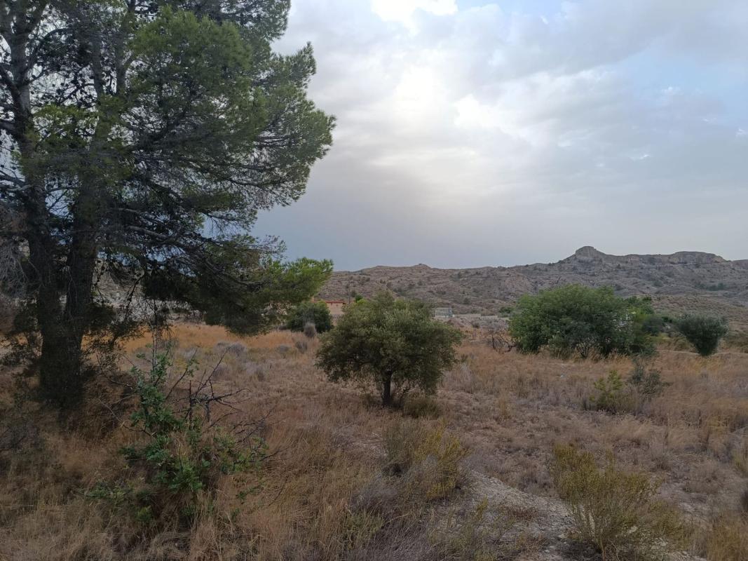 Terreno en venta en Agost, Alicante photo 3
