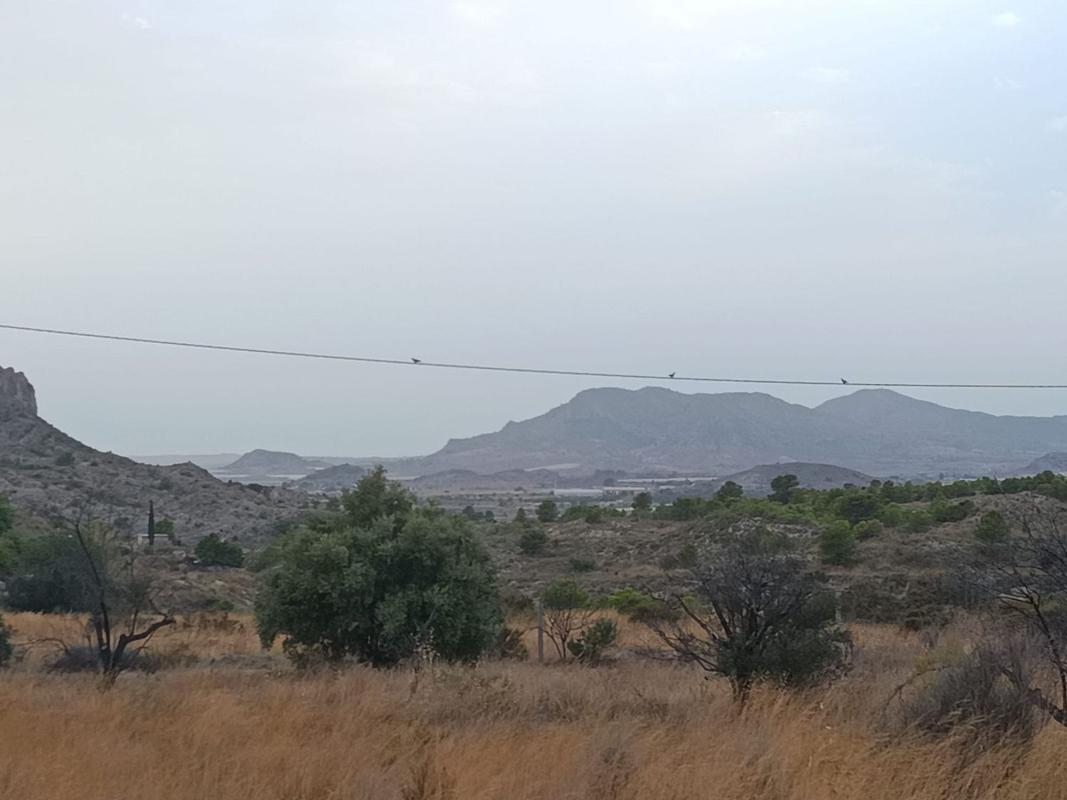 Terreno en venta en Agost, Alicante photo 5