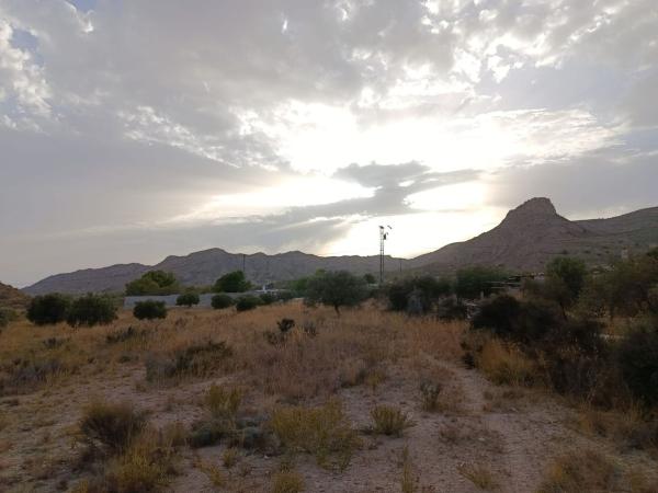 Terreno en partida murta, Agost photo 1