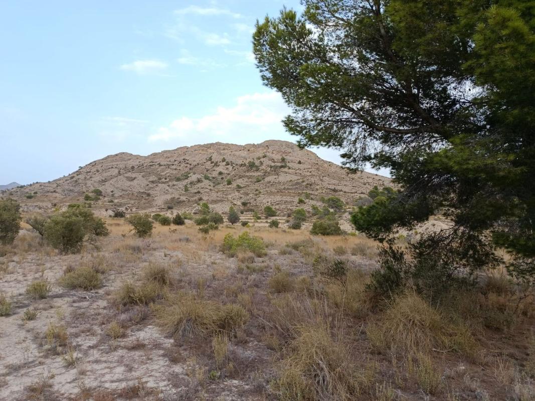 Terreno en venta en Agost, Alicante photo 4