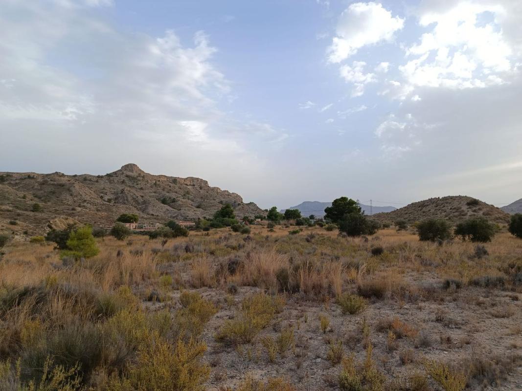 Terreno en venta en Agost, Alicante photo 5